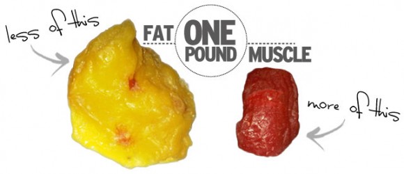 5 pounds store of fat